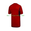Maillot de Foot Colo-Colo Extérieur 2023